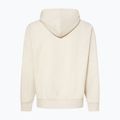 Vyriškas džemperis Oakley MTL PO Hoodie mist 2