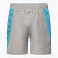 Vyriški šortai Oakley Training Sidepanel cement 2