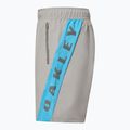 Vyriški šortai Oakley Training Sidepanel cement 3