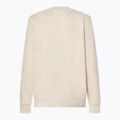 Vyriškas džemperis Oakley New Ellipse Crew Sweatshirt mist 2