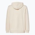 Vyriškas džemperis Oakley New Ellipse Hoodie Sweatshirt mist 2