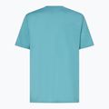Vyriški marškinėliai Oakley O Frog Ss Tee dark pacific 2