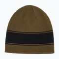 Žieminė kepurė Oakley Tnp Reversible Beanie 68S army green 2