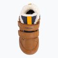 Vaikiški batai Geox Elthan tobacco/navy 6