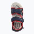 Paauglių sandalai Geox Alben ocean blue/red 13