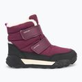Paauglių sniego batai Geox Trekkyup ABX burgundy 2