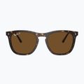 Akiniai nuo saulės Ray-Ban RB2210 havana/brown polarized 2