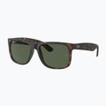 Saulės akiniai Ray-Ban Justin Classic havana/dark green polarized 4