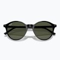 Akiniai nuo saulės Ray-Ban Bernard black/green g-15 3