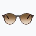 Akiniai nuo saulės Ray-Ban Bernard havana/brown gradient 2