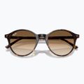 Akiniai nuo saulės Ray-Ban Bernard havana/brown gradient 3