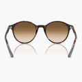 Akiniai nuo saulės Ray-Ban Bernard havana/brown gradient 5