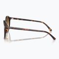 Akiniai nuo saulės Ray-Ban Bernard havana/brown gradient 6