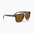 Akiniai nuo saulės Ray-Ban RB2213 havana/brown b-15