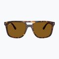 Akiniai nuo saulės Ray-Ban RB2213 havana/brown b-15 2