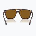 Akiniai nuo saulės Ray-Ban RB2213 havana/brown b-15 5