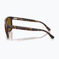 Akiniai nuo saulės Ray-Ban RB2213 havana/brown b-15 6