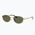 Akiniai nuo saulės Ray-Ban RB3774D arista gold/dark green polarized 4