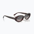 Akiniai nuo saulės Ray-Ban RB2223 havana/gradient grey