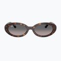 Akiniai nuo saulės Ray-Ban RB2223 havana/gradient grey 2