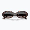 Akiniai nuo saulės Ray-Ban RB2223 havana/gradient grey 3