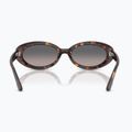 Akiniai nuo saulės Ray-Ban RB2223 havana/gradient grey 5
