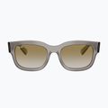 Akiniai nuo saulės Ray-Ban RB2228M Scuderia transparent grey/brown mirror gold 2