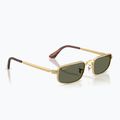Akiniai nuo saulės Ray-Ban RB3927 By A$Ap Rocky