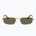 Akiniai nuo saulės Ray-Ban RB3927 By A$Ap Rocky 2