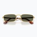 Akiniai nuo saulės Ray-Ban RB3927 By A$Ap Rocky 3