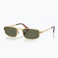 Akiniai nuo saulės Ray-Ban RB3927 By A$Ap Rocky 4