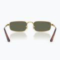 Akiniai nuo saulės Ray-Ban RB3927 By A$Ap Rocky 5