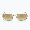 Akiniai nuo saulės Ray-Ban RB3928 By A$Ap Rocky arista gold/brown gold 2