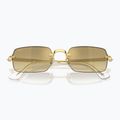 Akiniai nuo saulės Ray-Ban RB3928 By A$Ap Rocky arista gold/brown gold 3