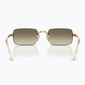 Akiniai nuo saulės Ray-Ban RB3928 By A$Ap Rocky arista gold/brown gold 5