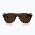 Akiniai su kamera Ray-Ban Meta Aviator havana/trs brown 7