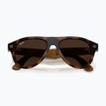Akiniai su kamera Ray-Ban Meta Aviator havana/trs brown 9