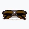 Akiniai su kamera Ray-Ban Meta Aviator transp. umber/trs jade 9