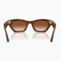 Akiniai su kamera Ray-Ban Meta Zena havana/gradient brown 3