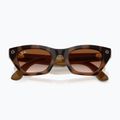 Akiniai su kamera Ray-Ban Meta Zena havana/gradient brown 6