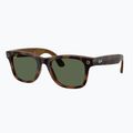 Akiniai su kamera Ray-Ban Meta Wayfarer havana/g15 green