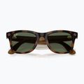 Akiniai su kamera Ray-Ban Meta Wayfarer havana/g15 green 6