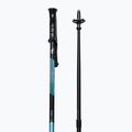 Fizan Explorer trekingo lazdos mėlynos S20 7521 3
