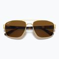 Akiniai nuo saulės Ray-Ban RB3663 arista gold/brown 3