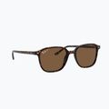 Akiniai nuo saulės Ray-Ban Leonard tortoise/brown polarized