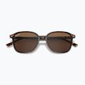 Akiniai nuo saulės Ray-Ban Leonard tortoise/brown polarized 3