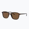 Akiniai nuo saulės Ray-Ban Leonard tortoise/brown polarized 4