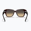 Akiniai nuo saulės Ray-Ban State Street brown/brown gradient 5