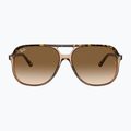 Akiniai nuo saulės Ray-Ban Bill havana brown/transparent brown 2