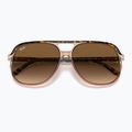 Akiniai nuo saulės Ray-Ban Bill havana brown/transparent brown 3